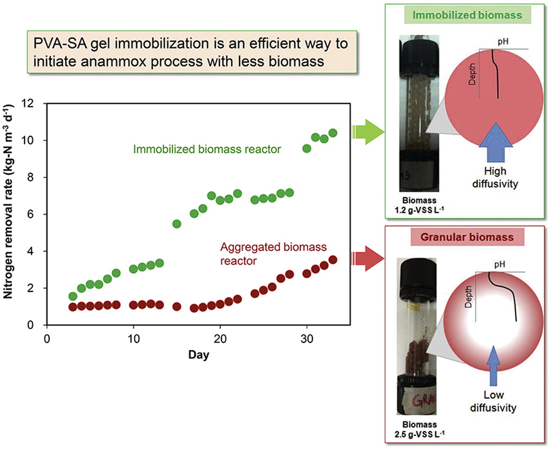Graphical abstract